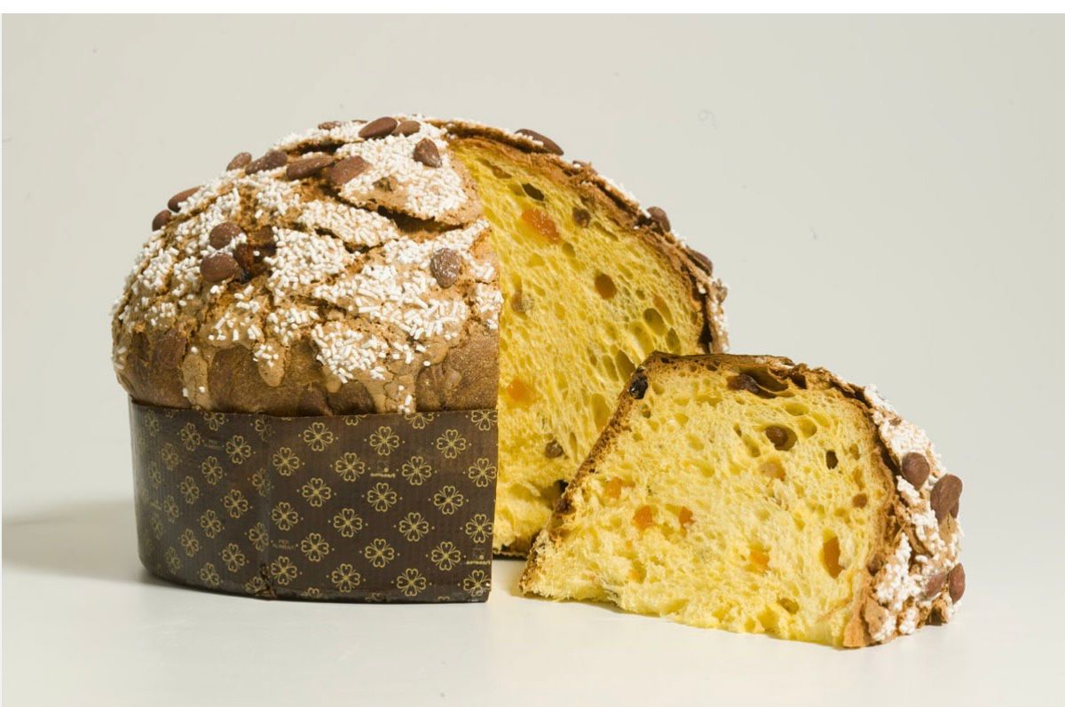 Panettone Classico Artigianale